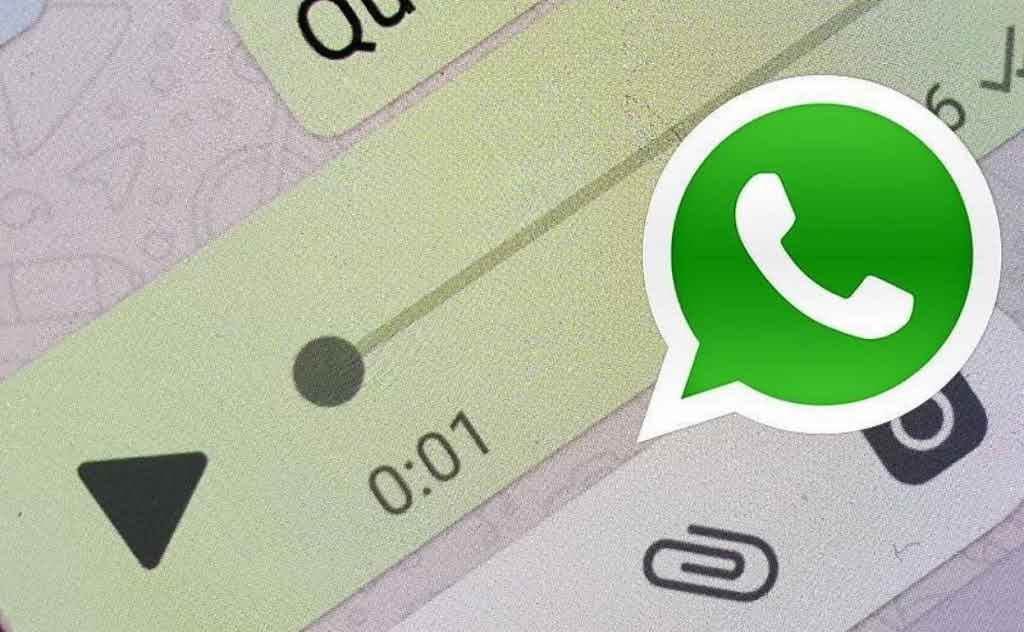 Graves irregularidades en estas elecciones denuncian jóvenes de la LLA