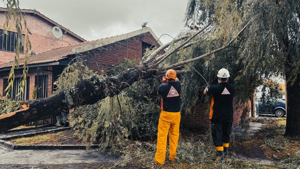 El Municipio intervino en la caída de 31 árboles y 28 postes tras la tormenta y fuertes vientos en Mar del Plata