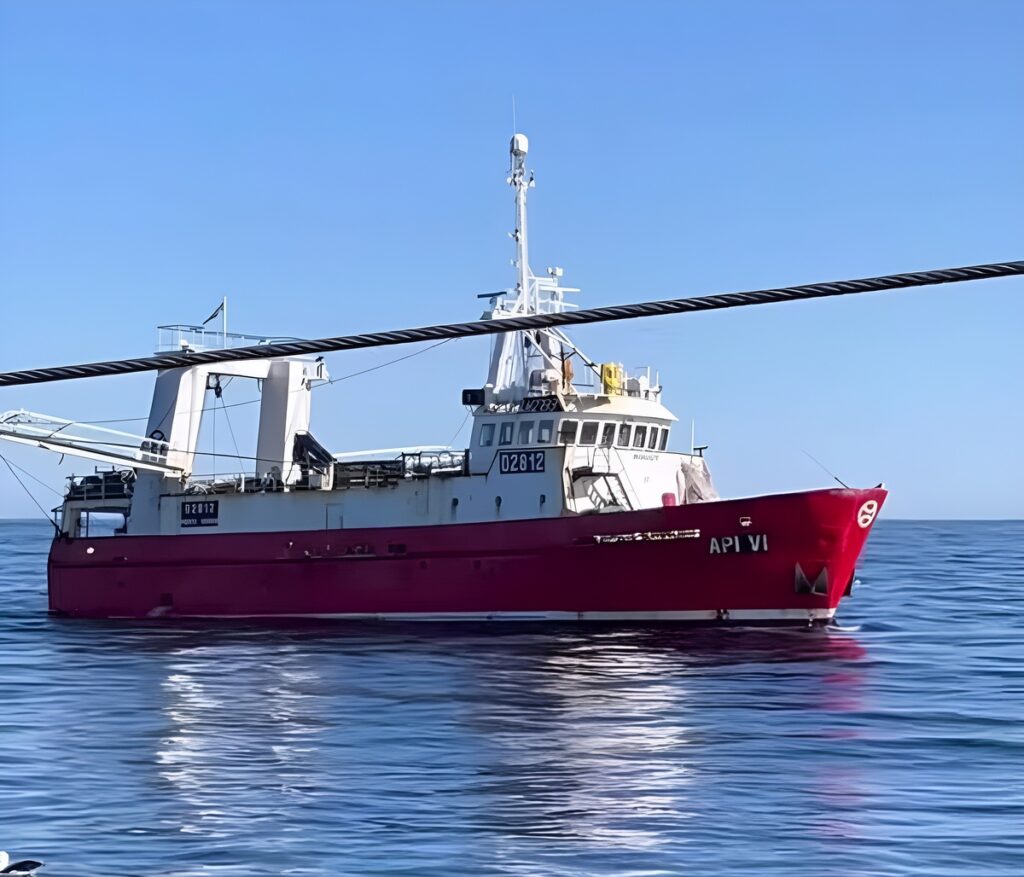 Langostino: la flota concentra el esfuerzo pesquero en el norte de la Zona de Veda de merluza