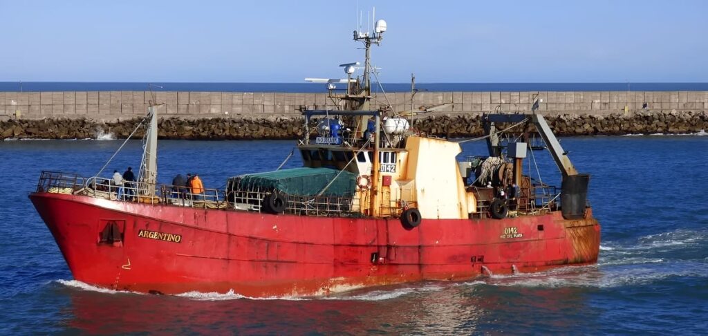 Acta CFP N° 18/2026: merluza, langostino y cuotificación, los principales temas de la reunión